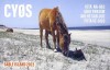 CY0S