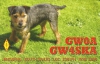 GW0A