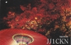 JJ1CKN