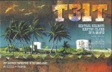 T31T