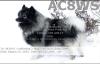 AC8WS