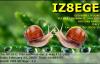 IZ8EGE