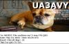 UA3AVY